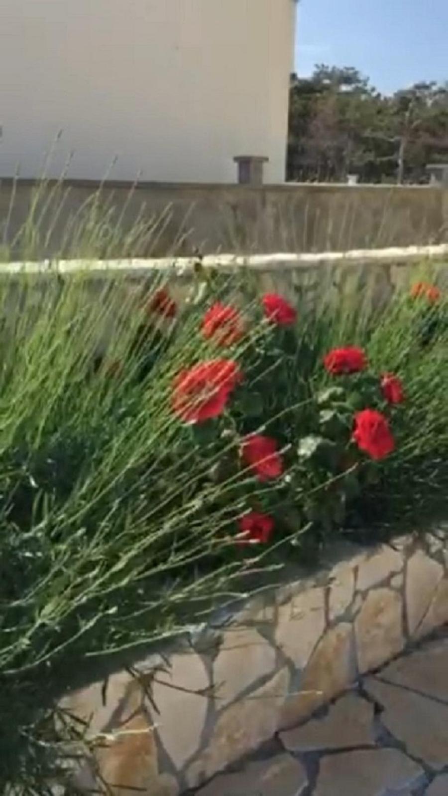 Miro Apartmani Ražanac المظهر الخارجي الصورة