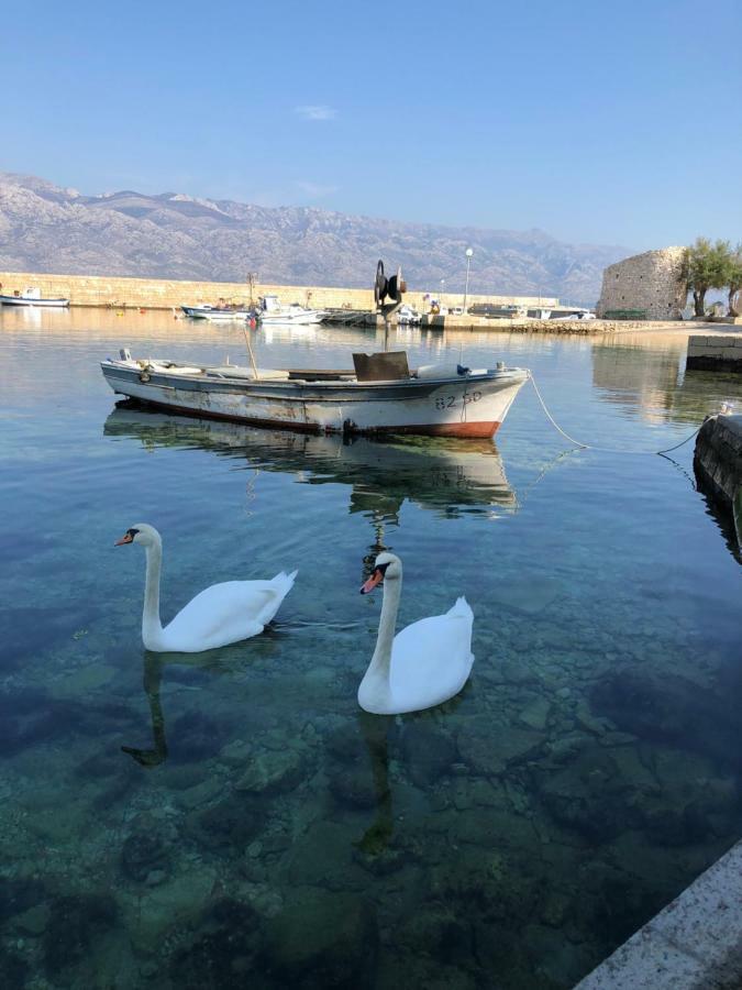 Miro Apartmani Ražanac المظهر الخارجي الصورة